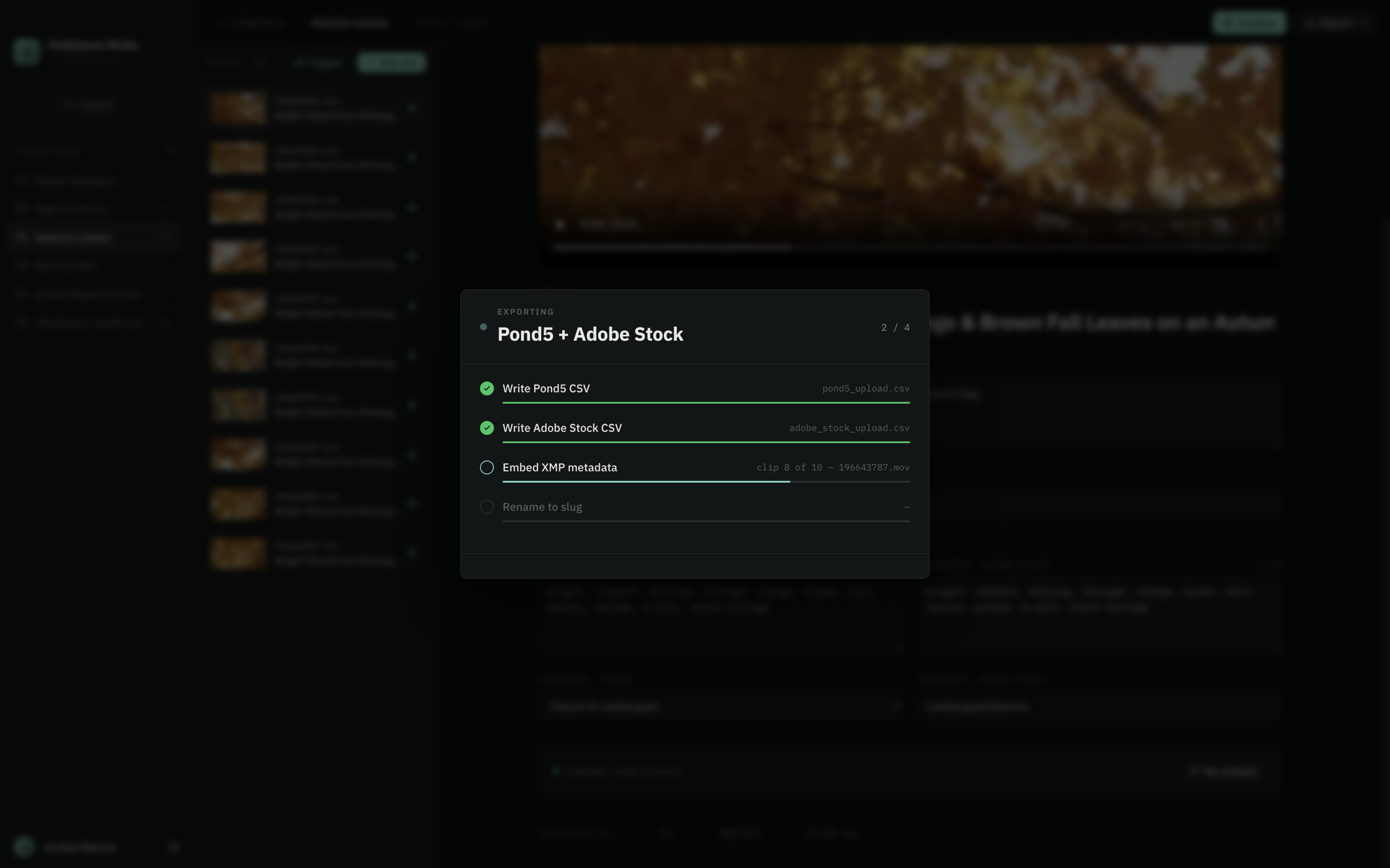 Export progress — CSVs written, XMP embedding into clips