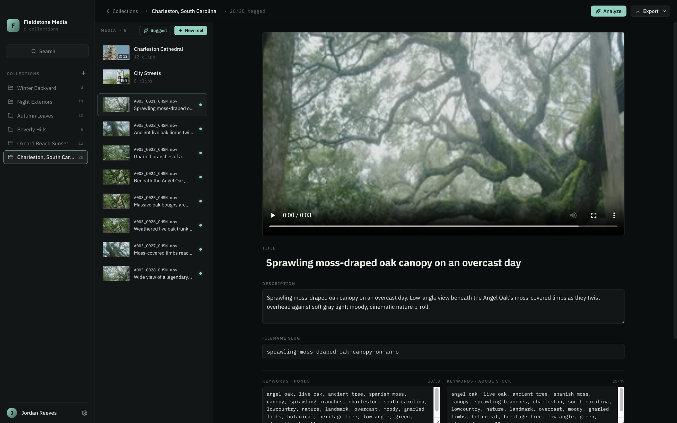 StockPrint — collection view with AI-tagged clips and reels
